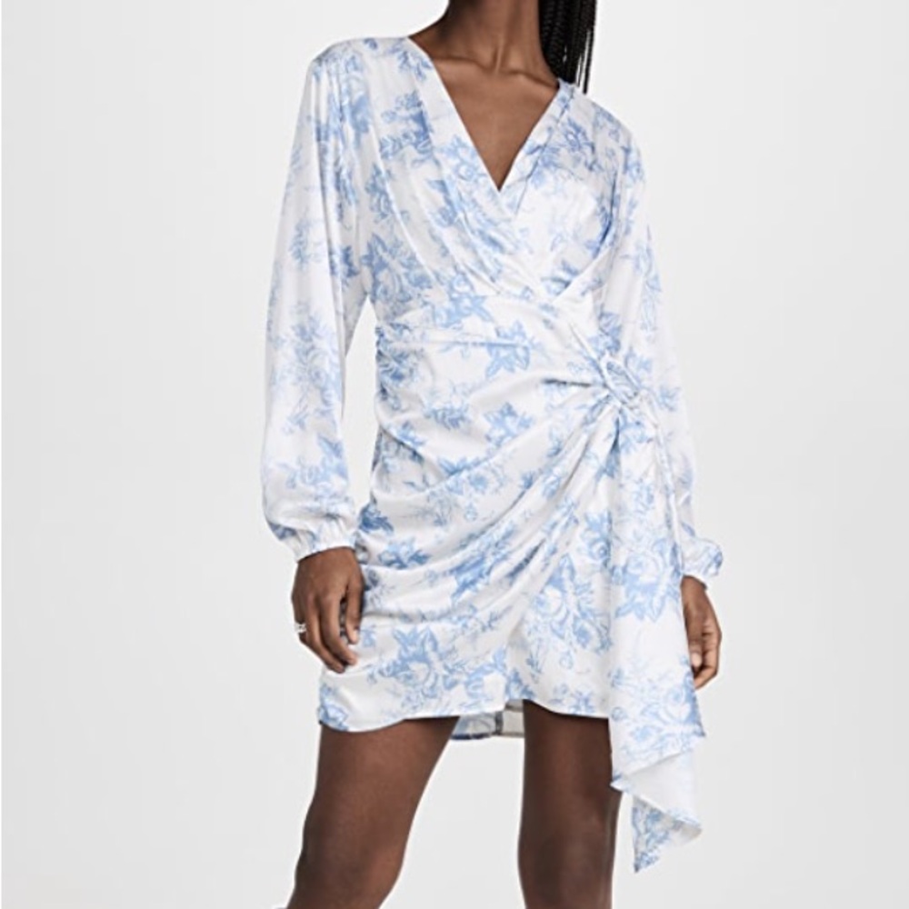 Toile Dress